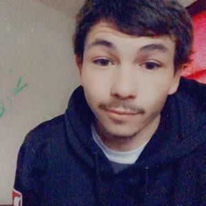 Meet your Posher, Logan